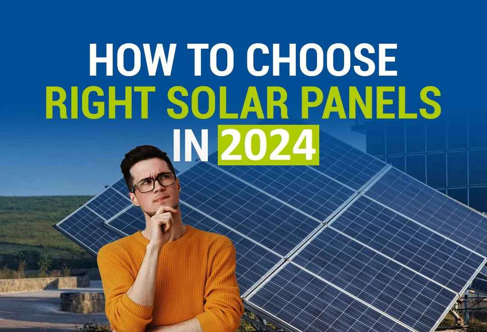 How to Choose the Right Solar Plant for Your Needs